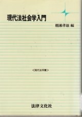 画像: 現代法社会学入門